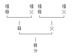 家系図サンプル